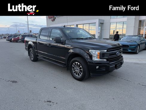 Used 2019 Ford F150 XLT w/ Equipment Group 302A Luxury image 1