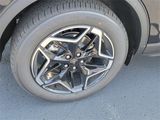 New 2025 Ford Escape Platinum image 5