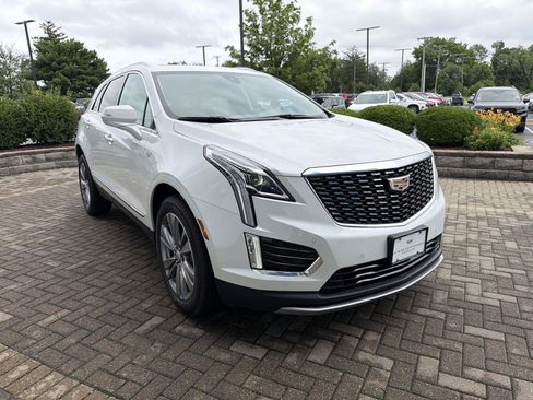 Used 2025 Cadillac XT5 Premium Luxury AWD/4WD image 7