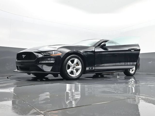 Used 2019 Ford Mustang Coupe RWD image 29