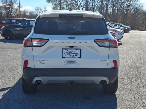 Used 2020 Ford Escape Titanium image 5