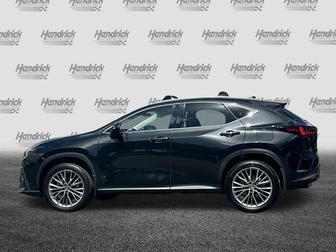 Certified 2024 Lexus NX 350h AWD w/ Vision Package image 8