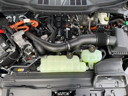 New 2025 Ford F150 XLT w/ Equipment Group 302A MID image 75