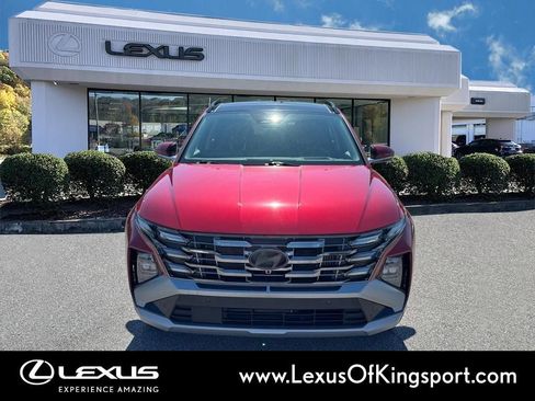 Used 2025 Hyundai Tucson Limited image 8