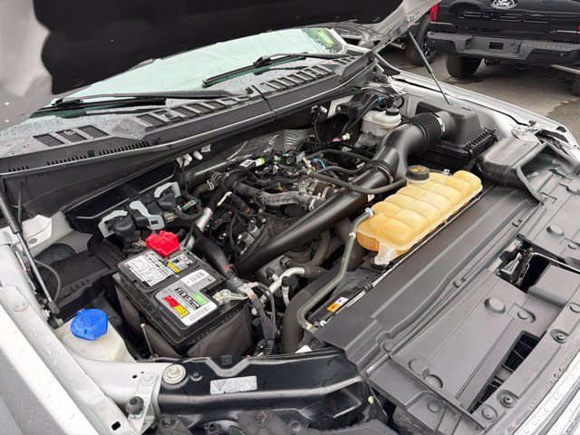 Used 2019 Ford F150 XLT w/ Equipment Group 302A Luxury AWD/4WD image 53