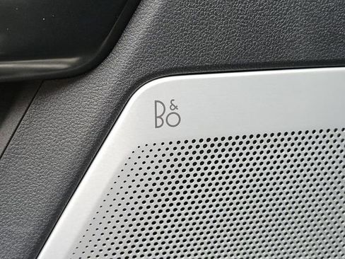 New 2025 Ford F250 Platinum w/ Tremor Off-Road Package image 28