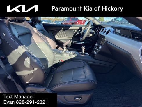 Used 2017 Ford Mustang GT Premium w/ Equipment Group 401A image 35