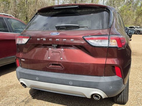 Used 2021 Ford Escape SE w/ Cold Weather Package image 5