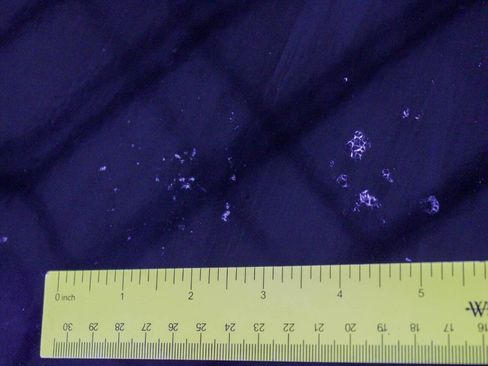 Used 1999 Dodge Dakota Sport image 26