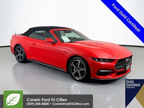 Used 2024 Ford Mustang Premium RWD image 1