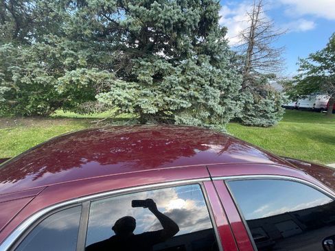 Used 2008 Ford Crown Victoria Police Interceptor image 32