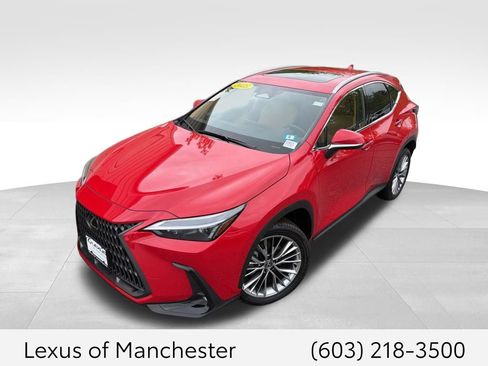 Used 2025 Lexus NX 350h AWD w/ Premium Package image 1