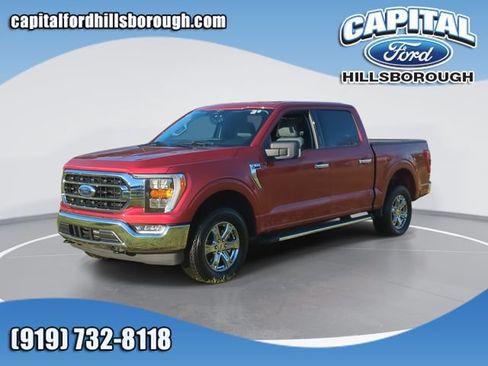 Used 2023 Ford F150 XLT w/ Equipment Group 302A High AWD/4WD image 1