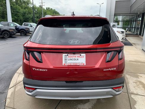 Used 2025 Hyundai Tucson Limited AWD/4WD image 4