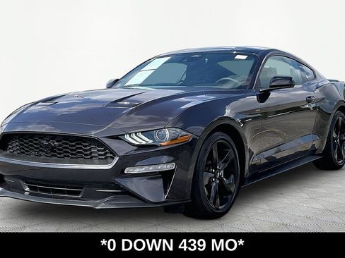 Used 2023 Ford Mustang Coupe w/ Equipment Group 101A RWD image 1