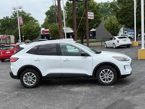 Used 2022 Ford Escape SE AWD/4WD image 5