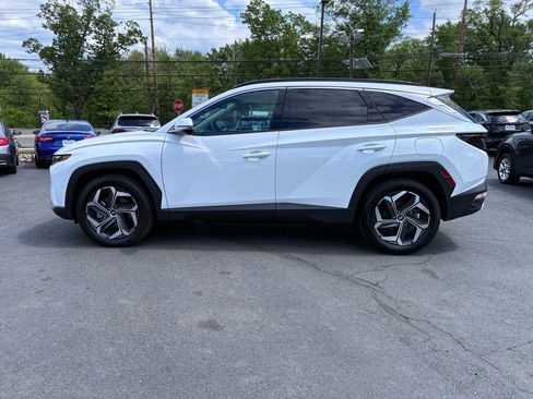 Used 2024 Hyundai Tucson Limited AWD/4WD image 4