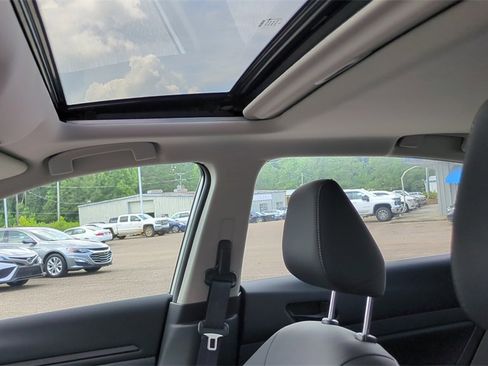 New 2025 Nissan Altima 2.5 SV w/ SV Special Edition Package image 14