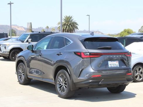 Certified 2024 Lexus NX 250 FWD w/ Cold Area Package image 19