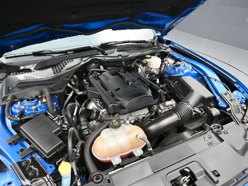 Used 2019 Ford Mustang Premium w/ Equipment Group 201A image 10