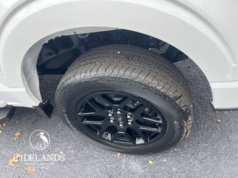 New 2025 Ford F150 STX w/ STX Black Appearance Package image 16