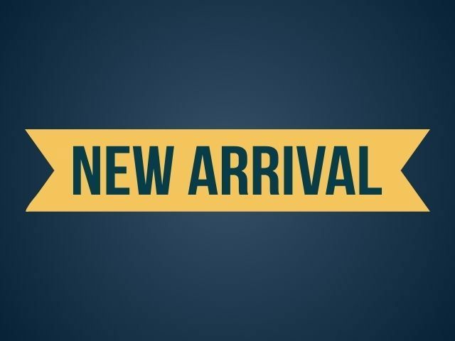 Used 2024 Kia Forte LXS FWD image 4