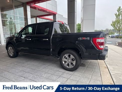 Used 2023 Ford F150 Platinum w/ Equipment Group 701A High AWD/4WD image 15