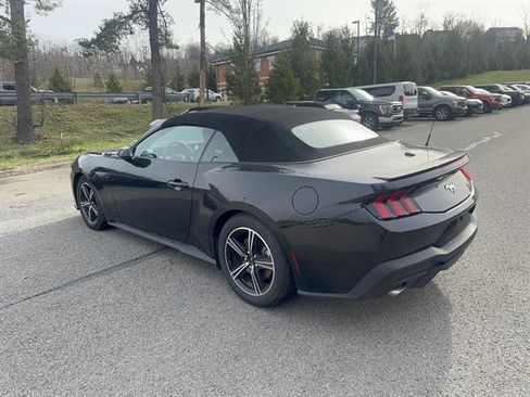 Used 2024 Ford Mustang Premium image 8