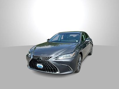 Used 2024 Lexus ES 250 w/ Premium Package