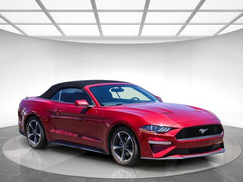 Used 2018 Ford Mustang Convertible w/ Equipment Group 101A RWD image 4