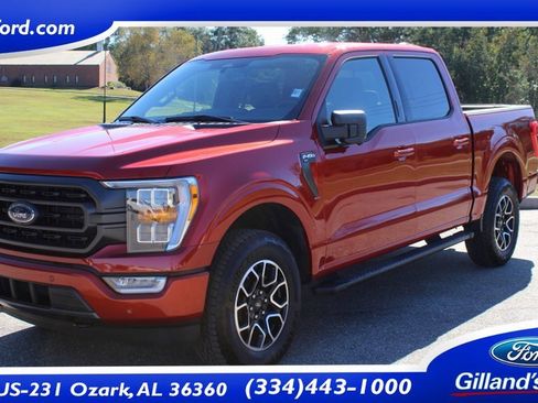 Used 2023 Ford F150 XLT w/ Equipment Group 302A High image 1