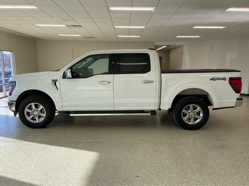 Used 2025 Ford F150 XLT w/ Equipment Group 302A MID AWD/4WD image 12