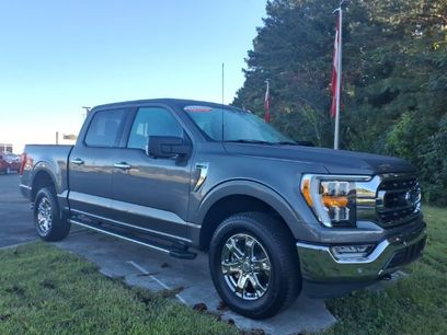 Used 2023 Ford F150 XLT w/ Equipment Group 302A High