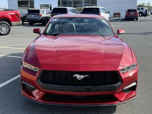 Used 2024 Ford Mustang EcoBoost image 9
