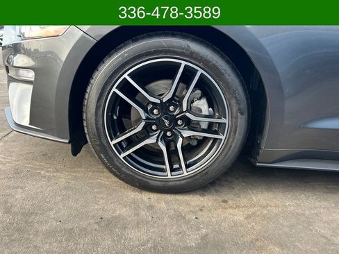 Used 2019 Ford Mustang Coupe w/ Equipment Group 101A image 26