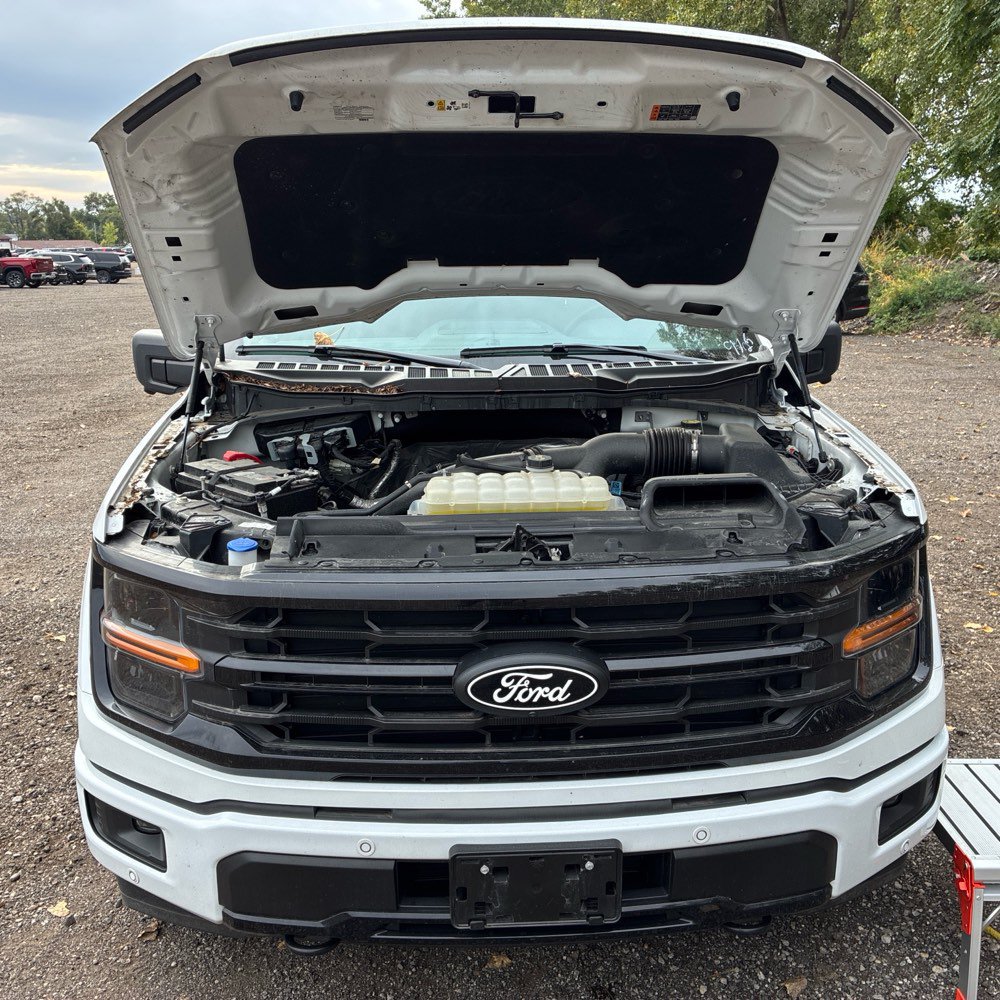 Used 2024 Ford F150 XLT w/ Equipment Group 302A MID AWD/4WD image 16