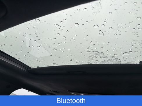 Used 2021 Kia Telluride SX w/ SX Prestige Package image 15