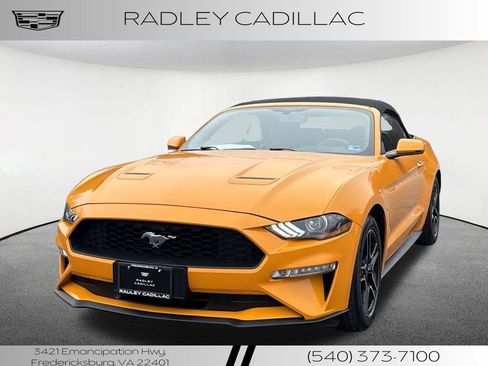 Used 2019 Ford Mustang Premium image 1