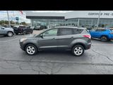 Used 2016 Ford Escape SE w/ SE Leather Comfort Package image 5