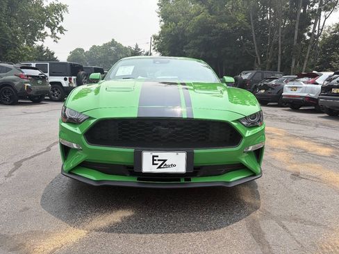 Used 2019 Ford Mustang Premium w/ Equipment Group 201A RWD image 3