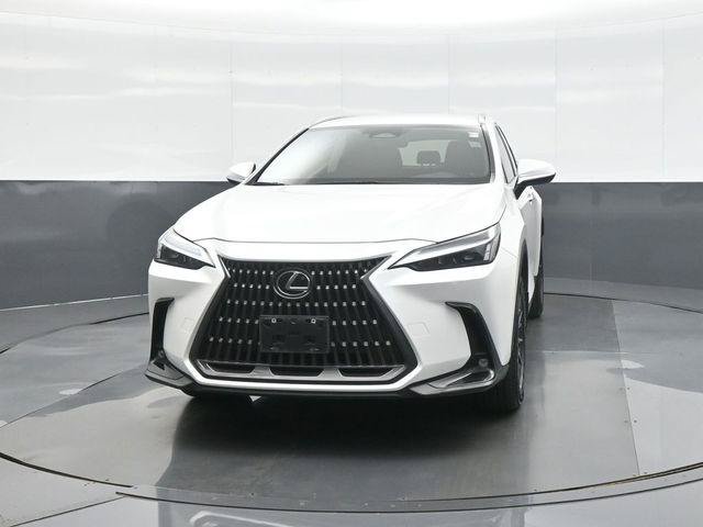 Used 2023 Lexus NX 250 AWD w/ Cold Area Package image 2