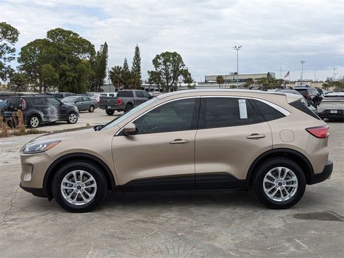 Used 2020 Ford Escape SE image 5