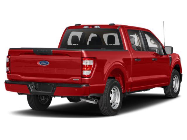Used 2021 Ford F150 XL w/ STX Appearance Package AWD/4WD image 3