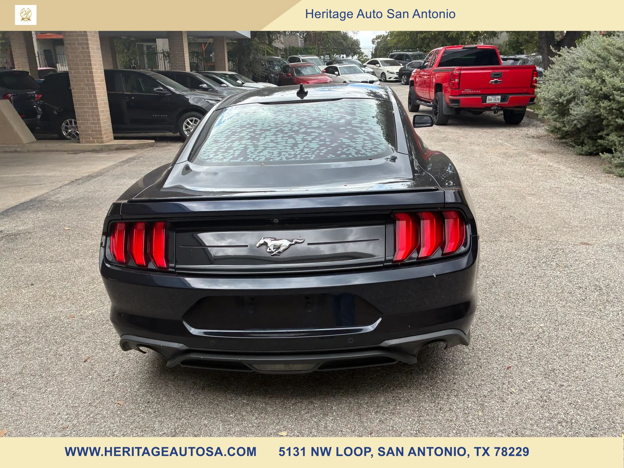 Used 2021 Ford Mustang Premium RWD image 5