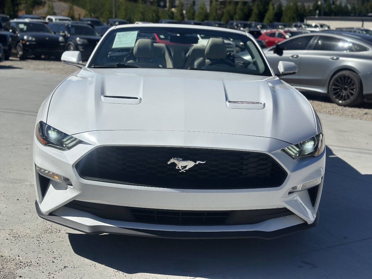 Used 2018 Ford Mustang Premium RWD image 2