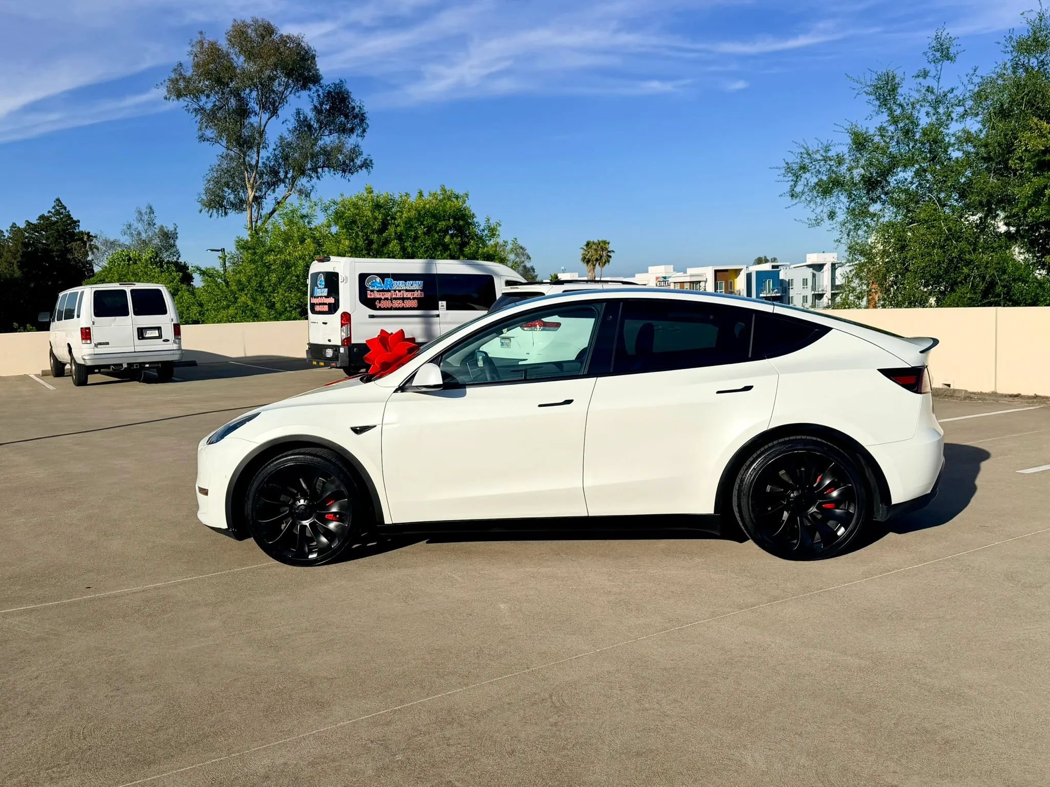 Used 2022 Tesla Model Y Performance AWD/4WD image 46