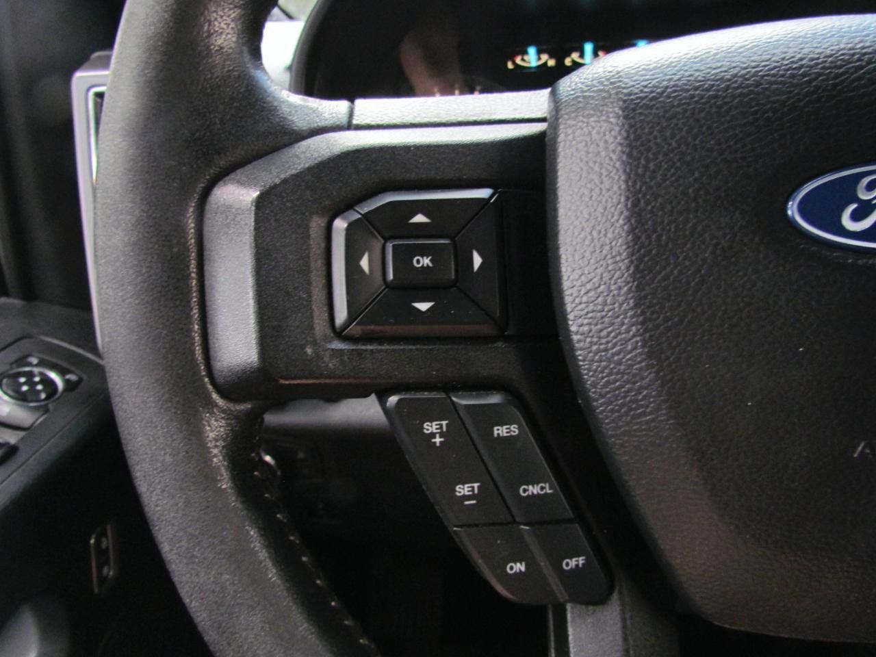 Used 2019 Ford F150 XLT w/ Equipment Group 302A Luxury AWD/4WD image 25