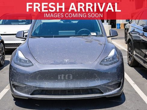 Used 2023 Tesla Model Y Performance AWD/4WD image 1