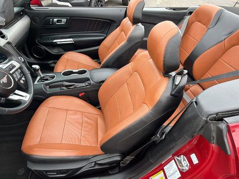 Used 2021 Ford Mustang GT Premium w/ Ford Safe & Smart Package RWD image 3