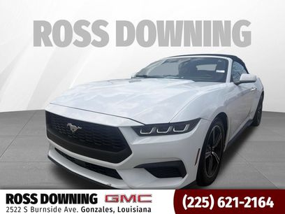 Used 2024 Ford Mustang Premium